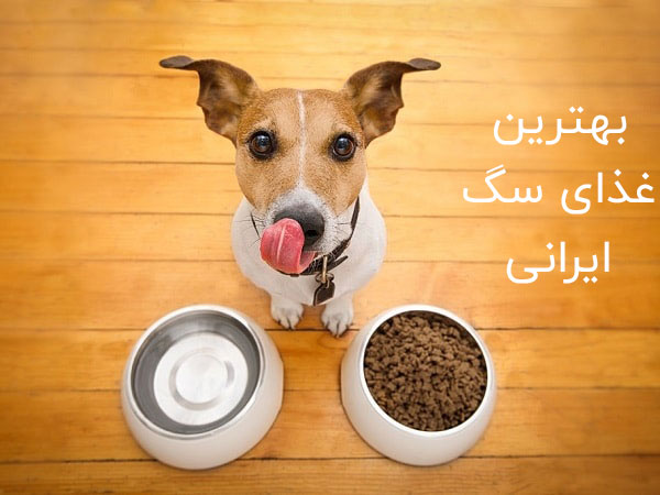بهترین غذای سگ ایرانی