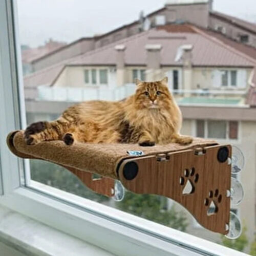 جای خواب آویزی شیشه گربه